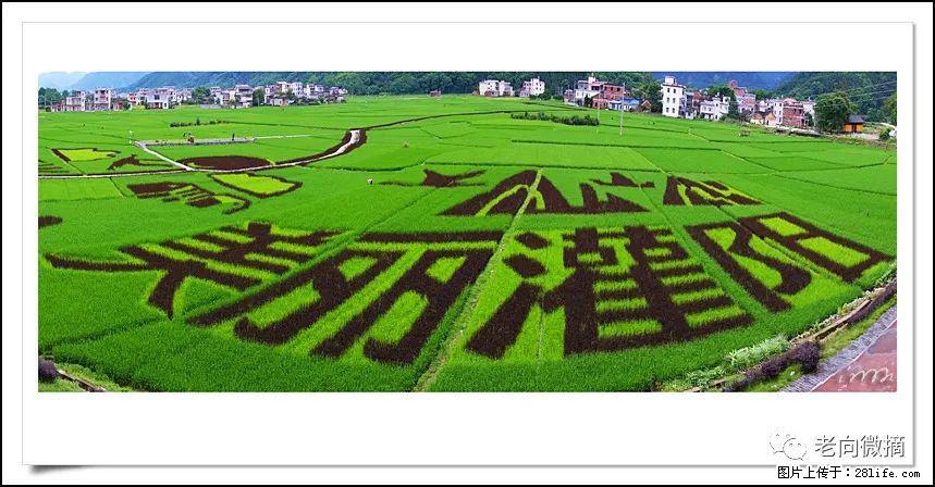 【春天,广西桂林灌阳县向您发出邀请!】开篇 - 游山玩水 - 龙岩生活社区 - 龙岩28生活网 ly.28life.com