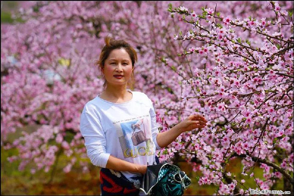 【春天,广西桂林灌阳县向您发出邀请!】官庄村有个醉美的桃花园 - 游山玩水 - 龙岩生活社区 - 龙岩28生活网 ly.28life.com