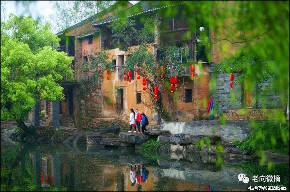 【春天，广西桂林灌阳县向您发出邀请！】江口老街又逢春 - 游山玩水 - 龙岩生活社区 - 龙岩28生活网 ly.28life.com