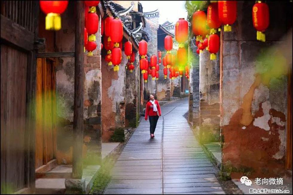 【春天，广西桂林灌阳县向您发出邀请！】江口老街又逢春 - 游山玩水 - 龙岩生活社区 - 龙岩28生活网 ly.28life.com