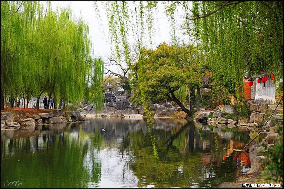 【春天，广西桂林灌阳县向您发出邀请！】江口老街又逢春 - 游山玩水 - 龙岩生活社区 - 龙岩28生活网 ly.28life.com