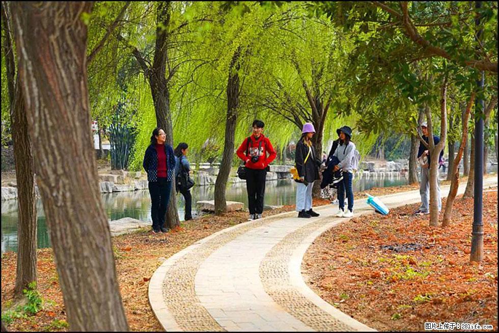 【春天，广西桂林灌阳县向您发出邀请！】江口老街又逢春 - 游山玩水 - 龙岩生活社区 - 龙岩28生活网 ly.28life.com