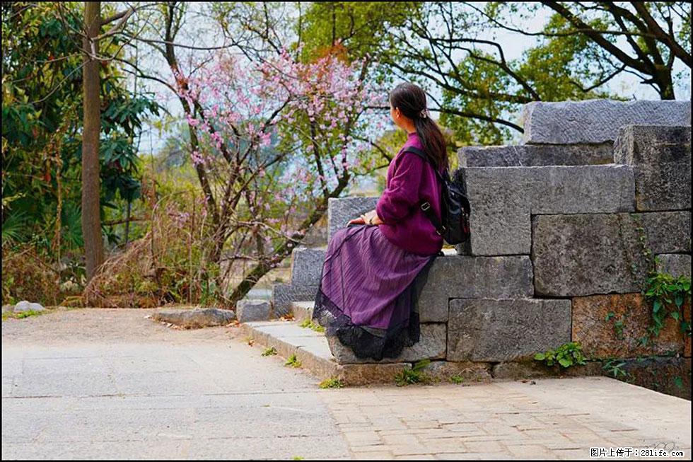 【春天，广西桂林灌阳县向您发出邀请！】江口老街又逢春 - 游山玩水 - 龙岩生活社区 - 龙岩28生活网 ly.28life.com