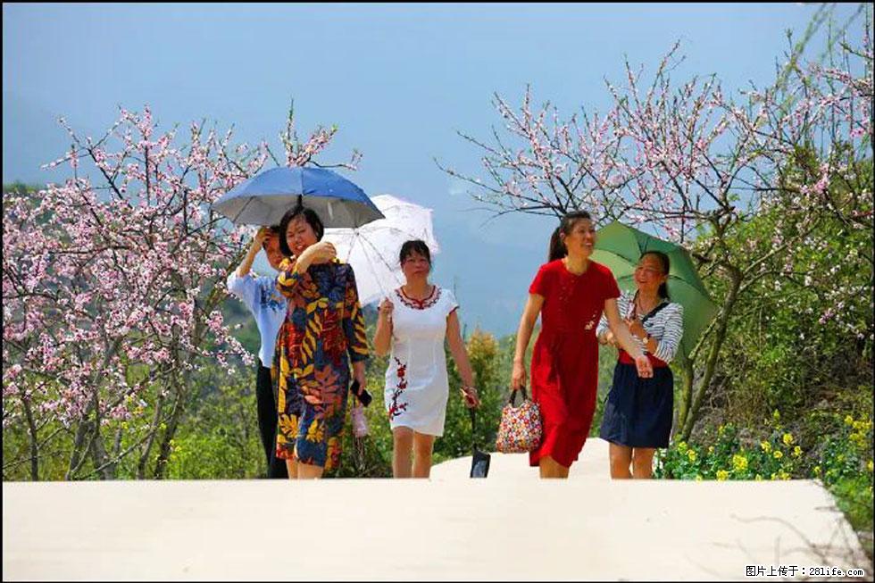 【春天,广西桂林灌阳县向您发出邀请!】望月岭上桃花开 - 游山玩水 - 龙岩生活社区 - 龙岩28生活网 ly.28life.com