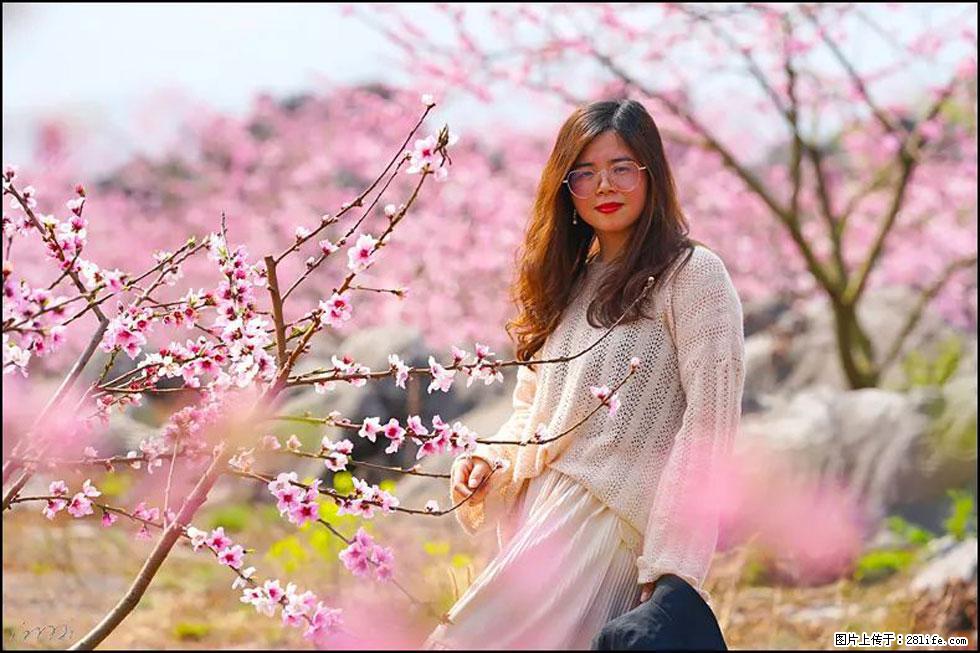 【春天,广西桂林灌阳县向您发出邀请!】望月岭上桃花开 - 游山玩水 - 龙岩生活社区 - 龙岩28生活网 ly.28life.com