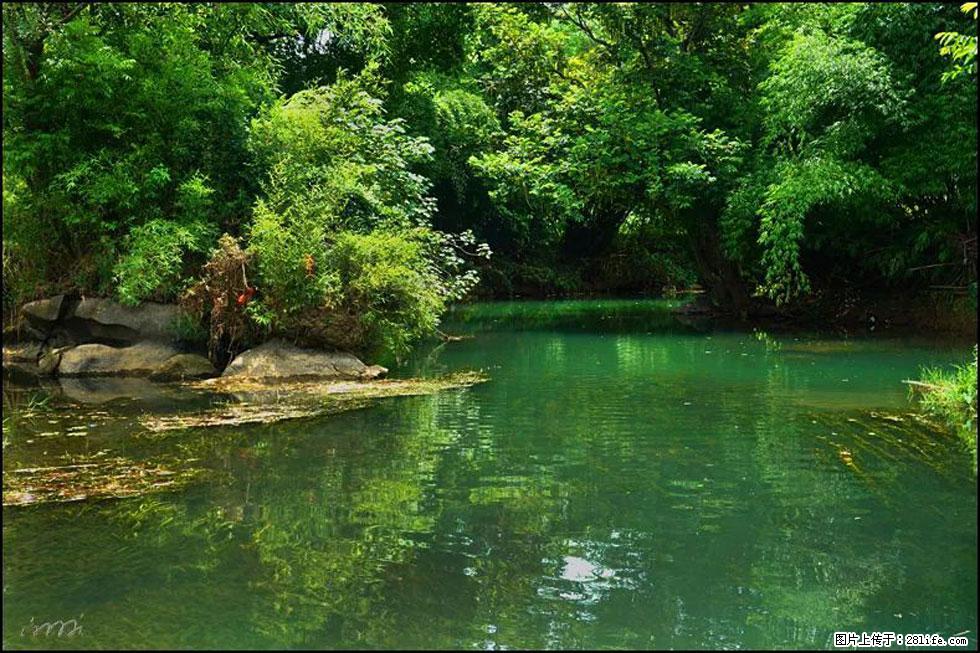 【春天,广西桂林灌阳县向您发出邀请!】如梦似幻莲溪庐 - 游山玩水 - 龙岩生活社区 - 龙岩28生活网 ly.28life.com