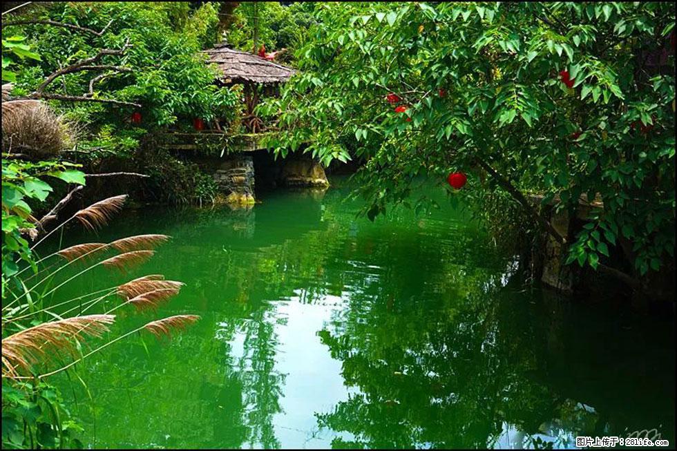 【春天,广西桂林灌阳县向您发出邀请!】如梦似幻莲溪庐 - 游山玩水 - 龙岩生活社区 - 龙岩28生活网 ly.28life.com