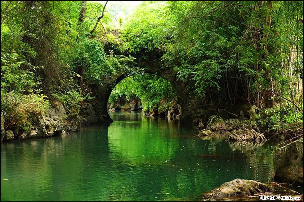 【春天,广西桂林灌阳县向您发出邀请!】如梦似幻莲溪庐 - 游山玩水 - 龙岩生活社区 - 龙岩28生活网 ly.28life.com