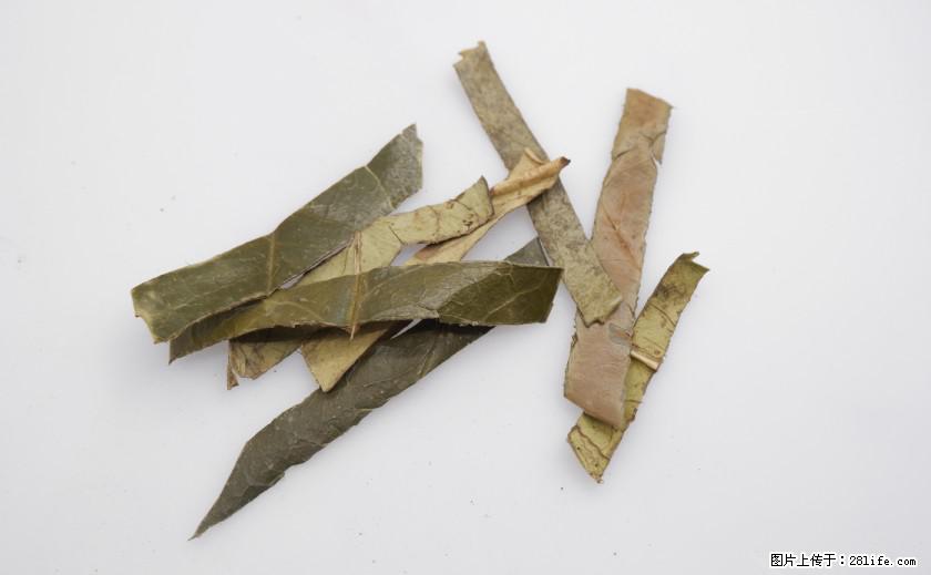 苦丁茶有哪些功效和作用 - 生活百科 - 龙岩生活社区 - 龙岩28生活网 ly.28life.com