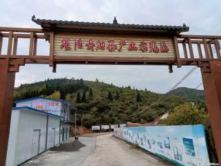 【灌阳县油茶产业示范区】一个有着充实的精神生活的人，对待身外之物自会有一种淡泊的态度 - 龙岩28生活网 ly.28life.com