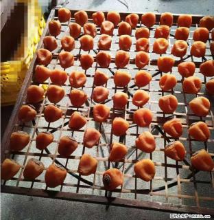 广西桂林平乐桥亭【柿饼之乡】2025年纯手工制作、无任何添加剂的第一批柿饼准备上市了，欢迎联系订购！ - 龙岩28生活网 ly.28life.com