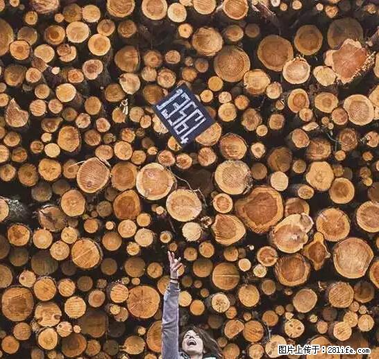 辞掉工作周游世界?现在他们在洗厕所…… - 游山玩水 - 龙岩生活社区 - 龙岩28生活网 ly.28life.com