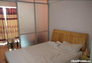 香樟名都 亿嘉丽都 单身公寓 拎包入住 - 龙岩28生活网 ly.28life.com