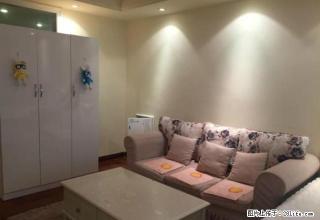 万达Soho 欧式精装 配套齐全 舒适温馨 美美美！ - 龙岩28生活网 ly.28life.com