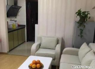 芝华室1300精装单身公寓全新装修拎包入住 - 龙岩28生活网 ly.28life.com