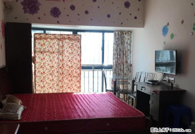 朝南 单身公寓 登高西路金茂领秀城 看中就来定!! - 房屋出租 - 房屋租售 - 龙岩分类信息 - 龙岩28生活网 ly.28life.com