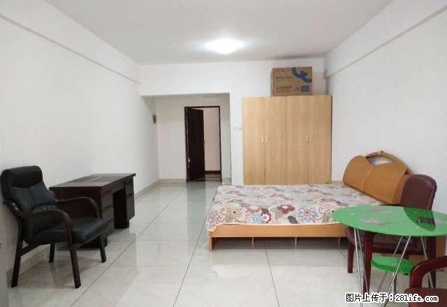 交易城红星美凯龙旁金色家园标准1房1阳台,42平方,拎包入住 - 房屋出租 - 房屋租售 - 龙岩分类信息 - 龙岩28生活网 ly.28life.com