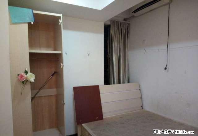 交易城红星美凯龙旁金色家园迷你单身公寓,拎包入住,温馨之窝。 - 房屋出租 - 房屋租售 - 龙岩分类信息 - 龙岩28生活网 ly.28life.com