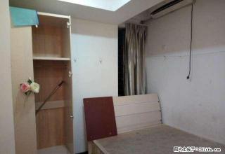 交易城红星美凯龙旁金色家园迷你单身公寓，拎包入住，温馨之窝。 - 龙岩28生活网 ly.28life.com