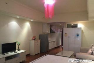 万达Soho 欧式精装 配套齐全 舒适温馨 直接拎包！ - 龙岩28生活网 ly.28life.com