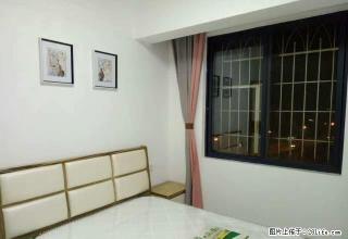 龙岩万达 晟龙欧景美月 精装正规一房一厅 品牌家电 拎包入住 - 龙岩28生活网 ly.28life.com