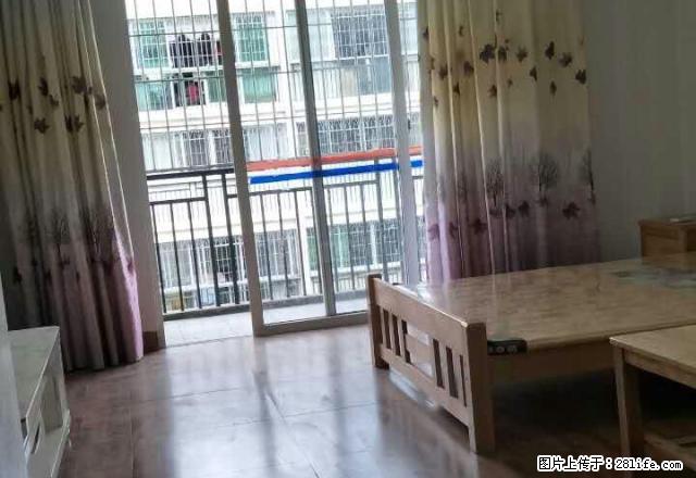 电梯房 龙腾星城 精品公寓 配家电家具 仅租800 - 房屋出租 - 房屋租售 - 龙岩分类信息 - 龙岩28生活网 ly.28life.com