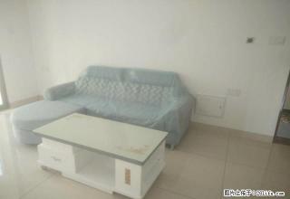 龙腾北小洋人居板块小洋新城精装修家电齐全拎包入住 - 龙岩28生活网 ly.28life.com