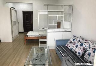 莲东 电梯高层 全新家电单身公寓 家私齐全 （秒杀） - 龙岩28生活网 ly.28life.com