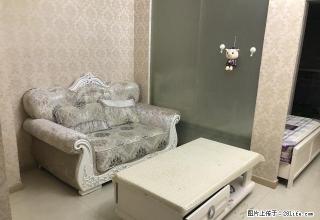 南城 阳光充足 清华御景欧式精装单身公寓 拎包（秒） - 龙岩28生活网 ly.28life.com