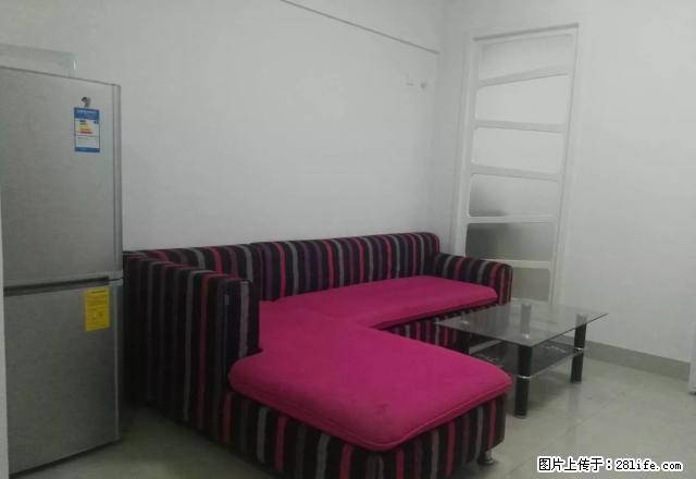 新房源 龙腾路 市政府旁精装公寓 家具家电齐全 - 房屋出租 - 房屋租售 - 龙岩分类信息 - 龙岩28生活网 ly.28life.com