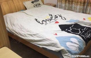 人民广场对面 电梯精装 单身公寓 可拎包入住 仅租1200 - 龙岩28生活网 ly.28life.com