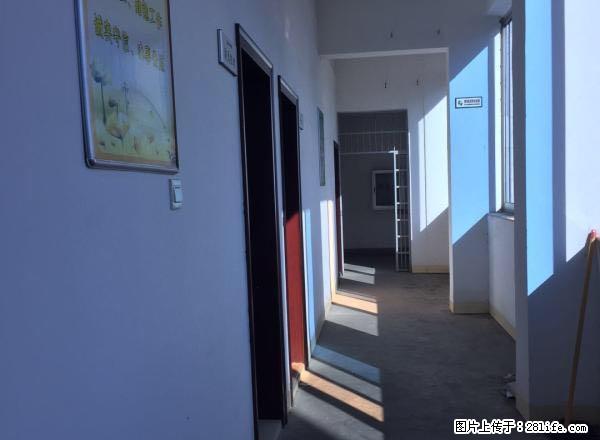 凤凰阁 整栋房子出租 共2300平米 一栋七层 可分可合 - 房屋出租 - 房屋租售 - 龙岩分类信息 - 龙岩28生活网 ly.28life.com