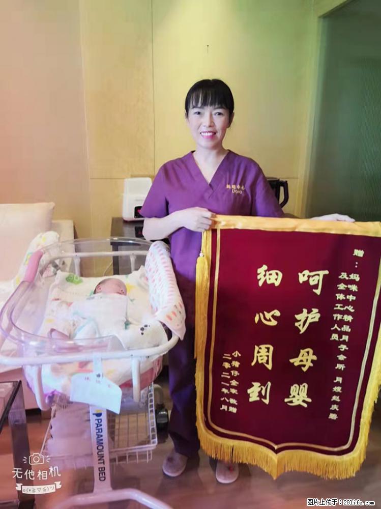 上海高端月子会所招新手月嫂,零基础带教,包吃住 - 职场交流 - 龙岩生活社区 - 龙岩28生活网 ly.28life.com