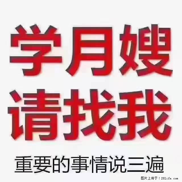 【招聘】月嫂,上海徐汇区 - 职场交流 - 龙岩生活社区 - 龙岩28生活网 ly.28life.com