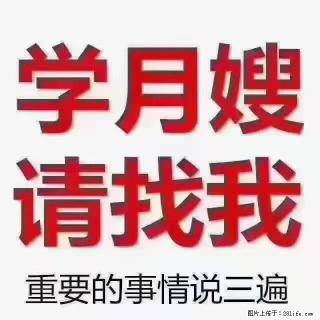 【招聘】月嫂，上海徐汇区 - 龙岩28生活网 ly.28life.com