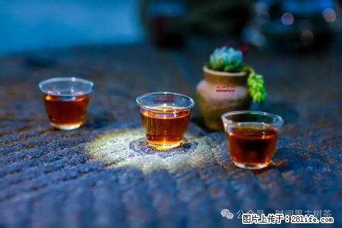 时间果百年古树2025年春红茶 - 购物交流 - 龙岩生活社区 - 龙岩28生活网 ly.28life.com