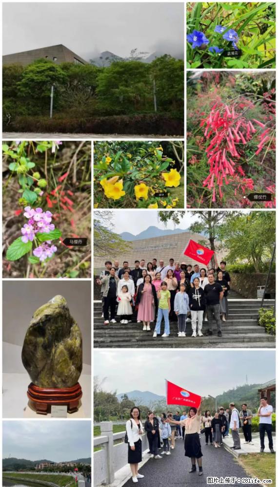 “粤灌文化 美好生活”油茶文化主题活动在广东深圳成功举办 - 龙岩生活资讯 - 龙岩28生活网 ly.28life.com