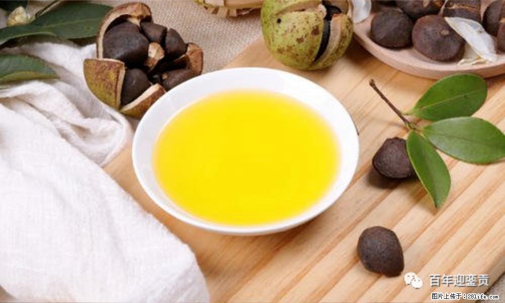 揭秘茶油的5大核心营养成分!被称为人体健康的“守护盾”! - 龙岩生活资讯 - 龙岩28生活网 ly.28life.com