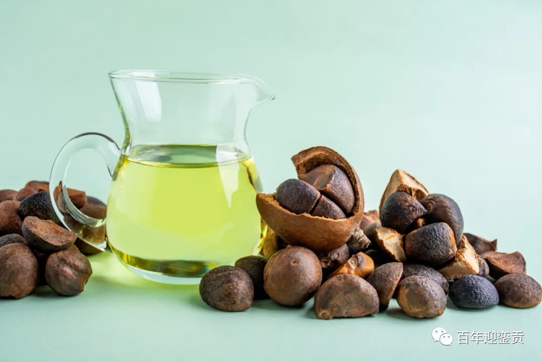 世界没有真相，只有认知，最好的食用油是中国的山茶油！ - 龙岩生活资讯 - 龙岩28生活网 ly.28life.com