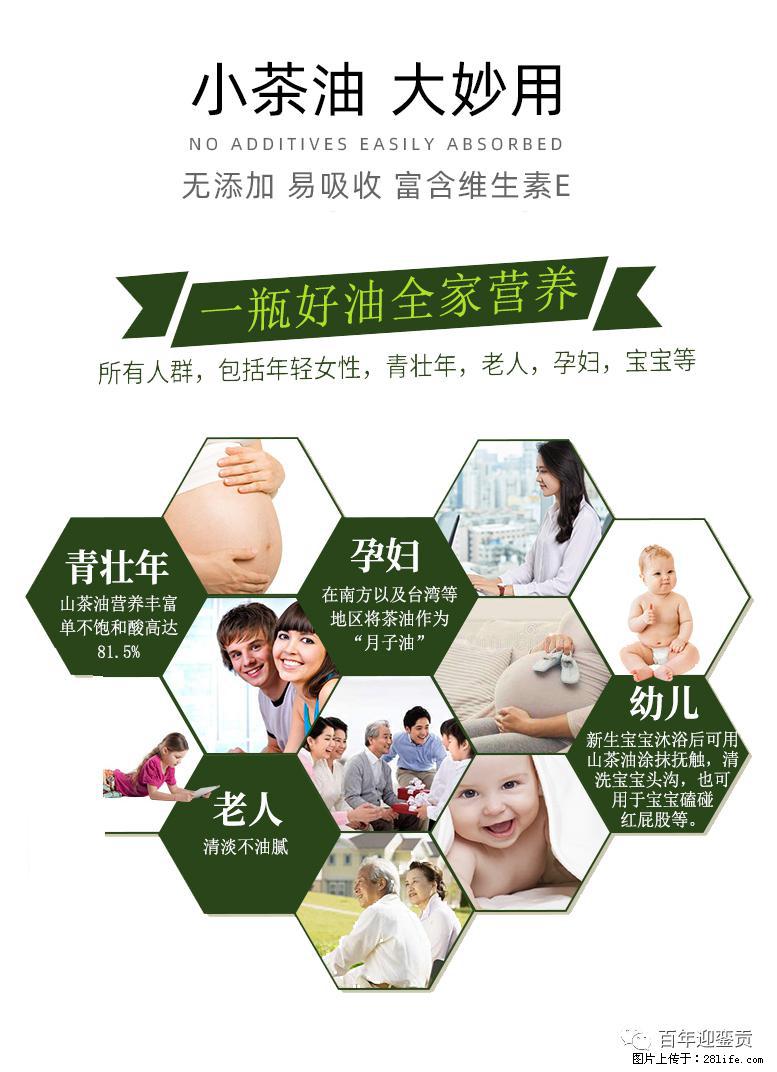 世界没有真相，只有认知，最好的食用油是中国的山茶油！ - 龙岩生活资讯 - 龙岩28生活网 ly.28life.com