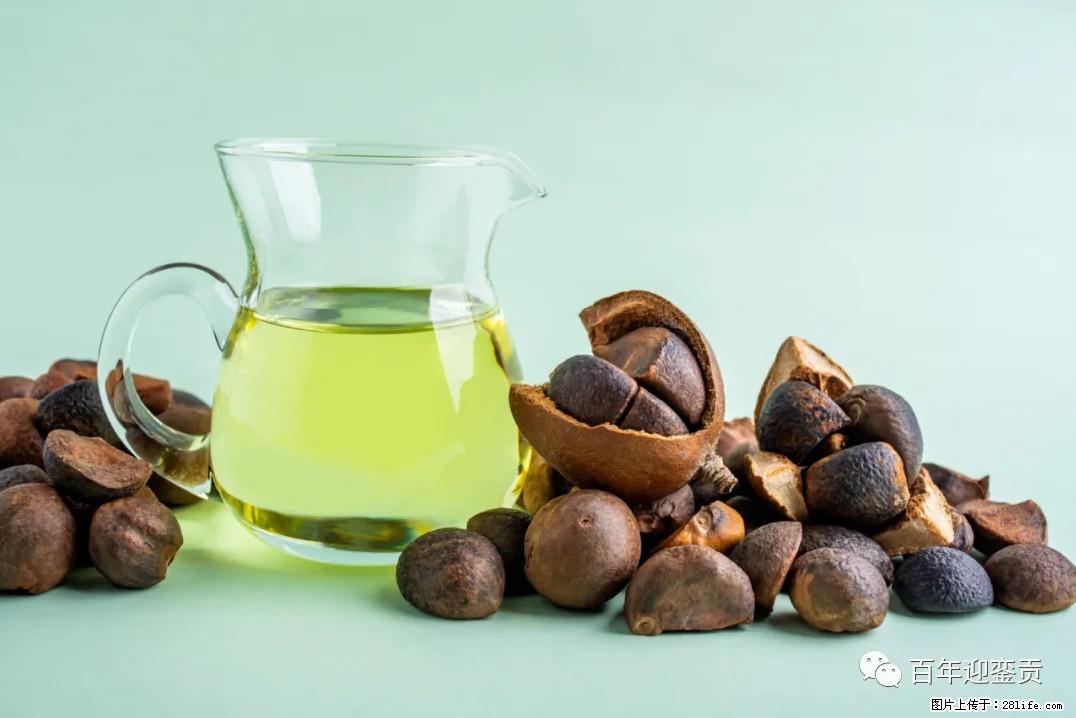 世界没有真相,只有认知,最好的食用油是中国的山茶油! - 龙岩生活资讯 - 龙岩28生活网 ly.28life.com