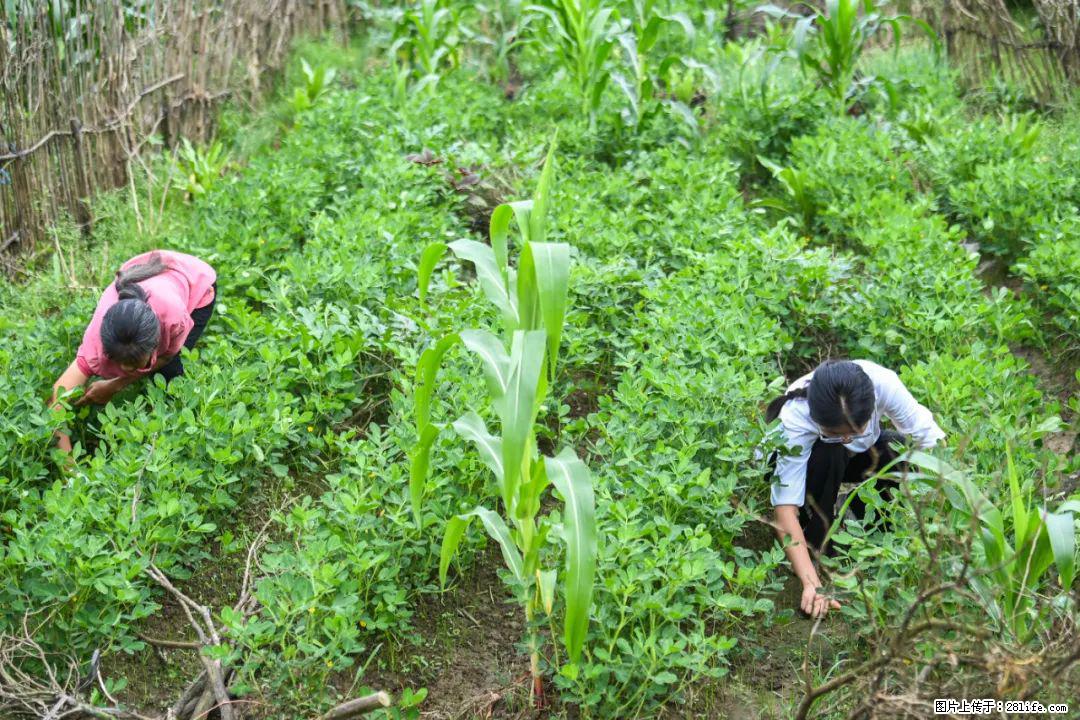 全网追的“扁担女孩”,找了一份暑假工,时薪12元 - 龙岩生活资讯 - 龙岩28生活网 ly.28life.com