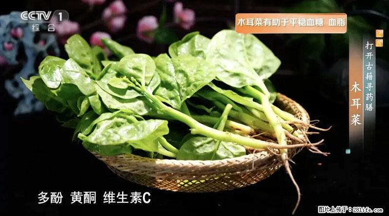 比牛奶补钙还厉害！凉血解毒、稳血糖...这菜冬天必吃，很多人却当草 - 龙岩生活资讯 - 龙岩28生活网 ly.28life.com