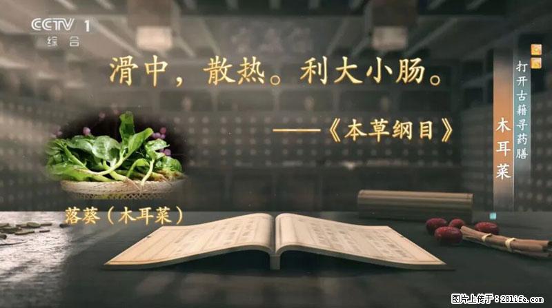 比牛奶补钙还厉害！凉血解毒、稳血糖...这菜冬天必吃，很多人却当草 - 龙岩生活资讯 - 龙岩28生活网 ly.28life.com