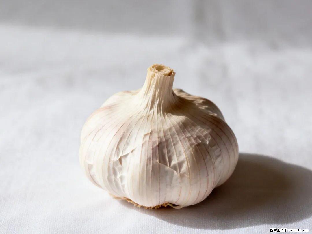 关于大蒜，除了“天然抗生素”，这4个谣言更该警惕! - 龙岩生活资讯 - 龙岩28生活网 ly.28life.com