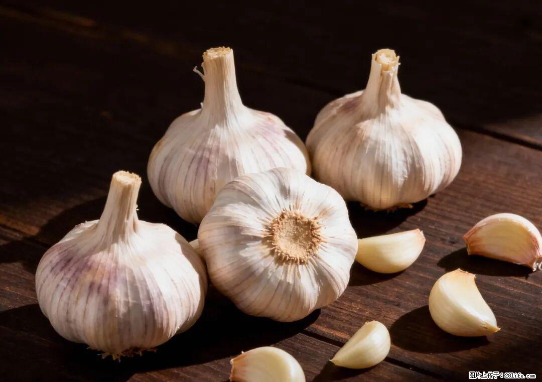 关于大蒜，除了“天然抗生素”，这4个谣言更该警惕! - 龙岩生活资讯 - 龙岩28生活网 ly.28life.com