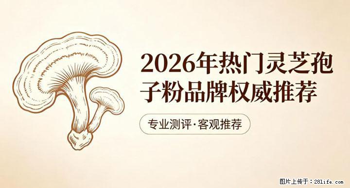 灵芝孢子粉含量越高越有效？2026 年七款热门品牌深度实测，肠胃敏感者避坑指南 - 龙岩生活资讯 - 龙岩28生活网 ly.28life.com